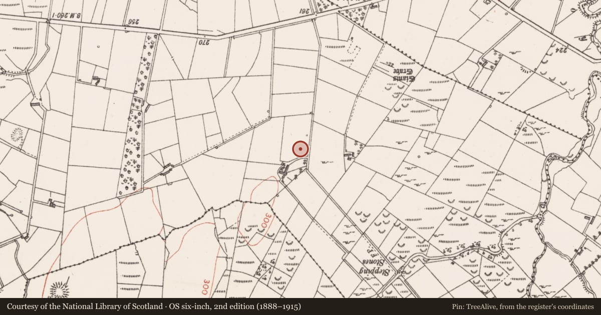 Ordnance Survey six-inch map, 2nd edition (1888–1915) covering the location of Bullaun stone, Church Hill, County Sligo, with a pin at the register's coordinates