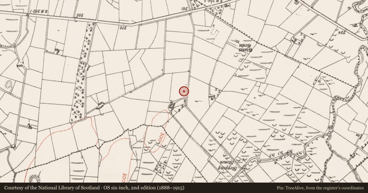 Ordnance Survey six-inch map, 2nd edition (1888–1915) covering the location of Architectural fragment, Church Hill, County Sligo, with a pin at the register's coordinates