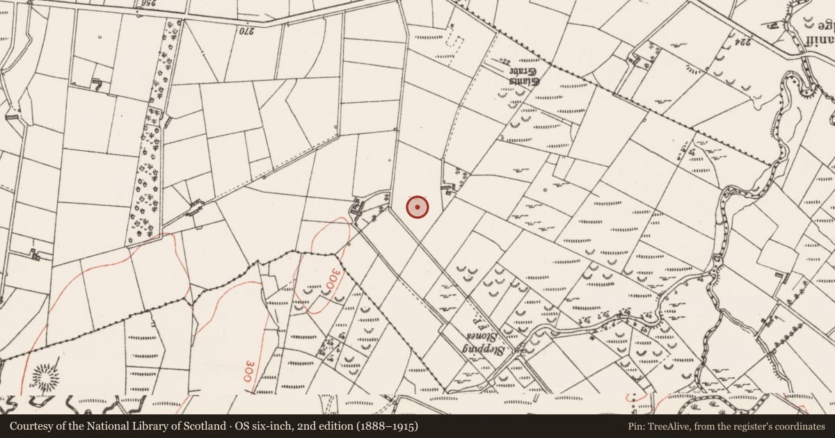 Ordnance Survey six-inch map, 2nd edition (1888–1915) covering the location of Ringfort - rath, Church Hill, County Sligo, with a pin at the register's coordinates