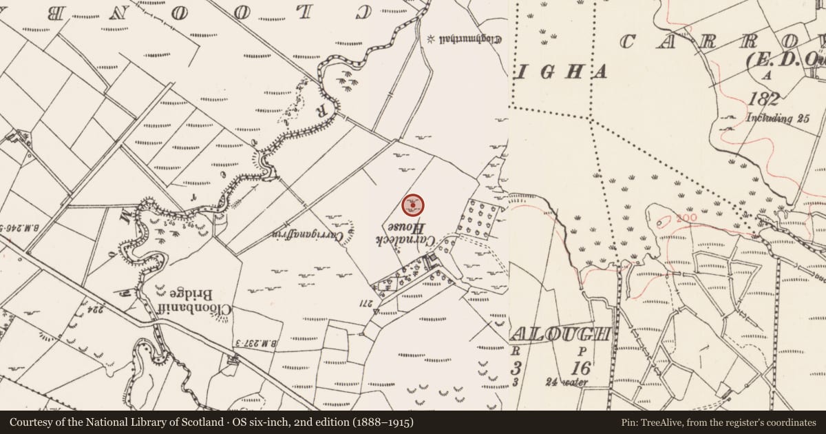 Ordnance Survey six-inch map, 2nd edition (1888–1915) covering the location of Crannog, Knockalough, County Sligo, with a pin at the register's coordinates