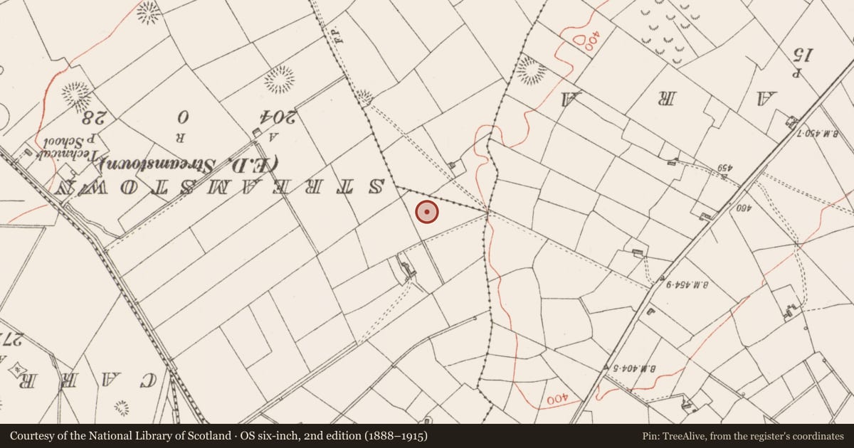 Ordnance Survey six-inch map, 2nd edition (1888–1915) covering the location of Castle - unclassified, Tullyhugh, County Sligo, with a pin at the register's coordinates