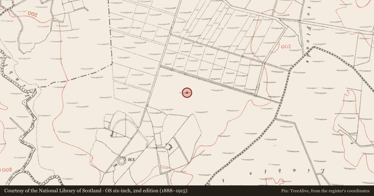 Ordnance Survey six-inch map, 2nd edition (1888–1915) covering the location of Souterrain, Carrowntawa, County Sligo, with a pin at the register's coordinates