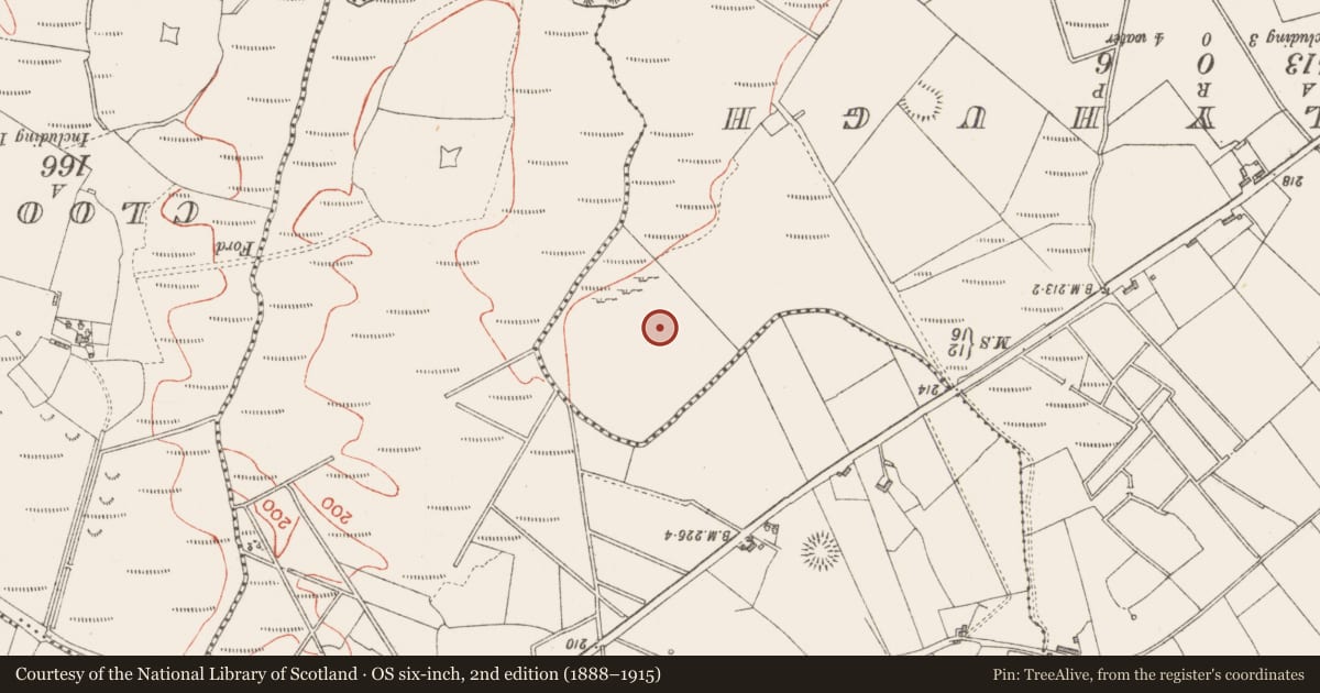 Ordnance Survey six-inch map, 2nd edition (1888–1915) covering the location of Barrow - unclassified, Carnyara, County Sligo, with a pin at the register's coordinates