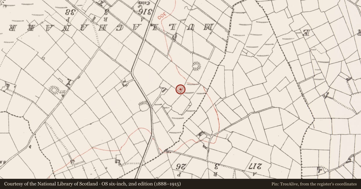 Ordnance Survey six-inch map, 2nd edition (1888–1915) covering the location of Souterrain, Rinbaun, County Sligo, with a pin at the register's coordinates