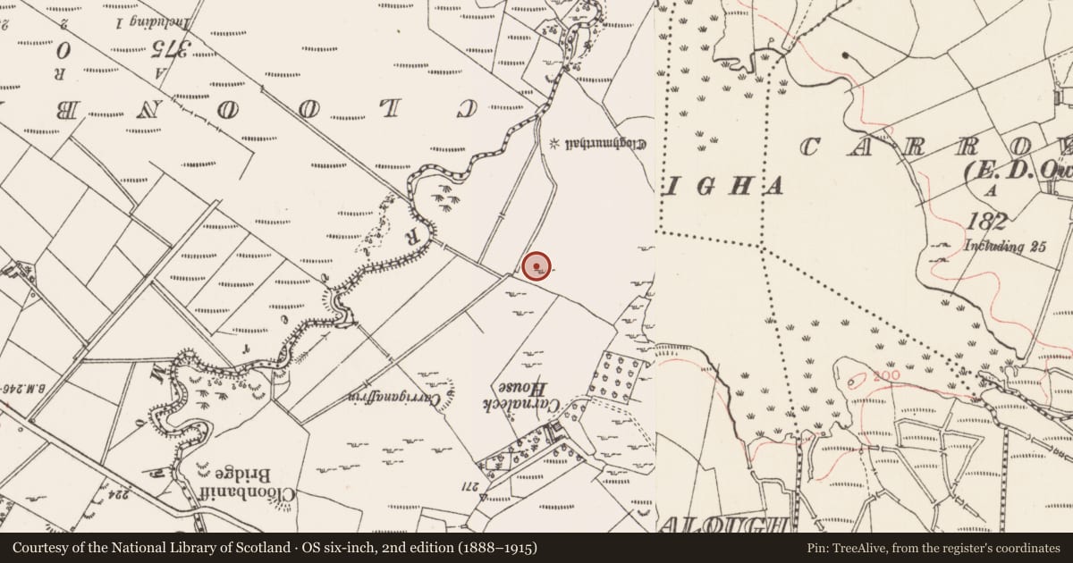 Ordnance Survey six-inch map, 2nd edition (1888–1915) covering the location of Crannog, Knockalough, County Sligo, with a pin at the register's coordinates