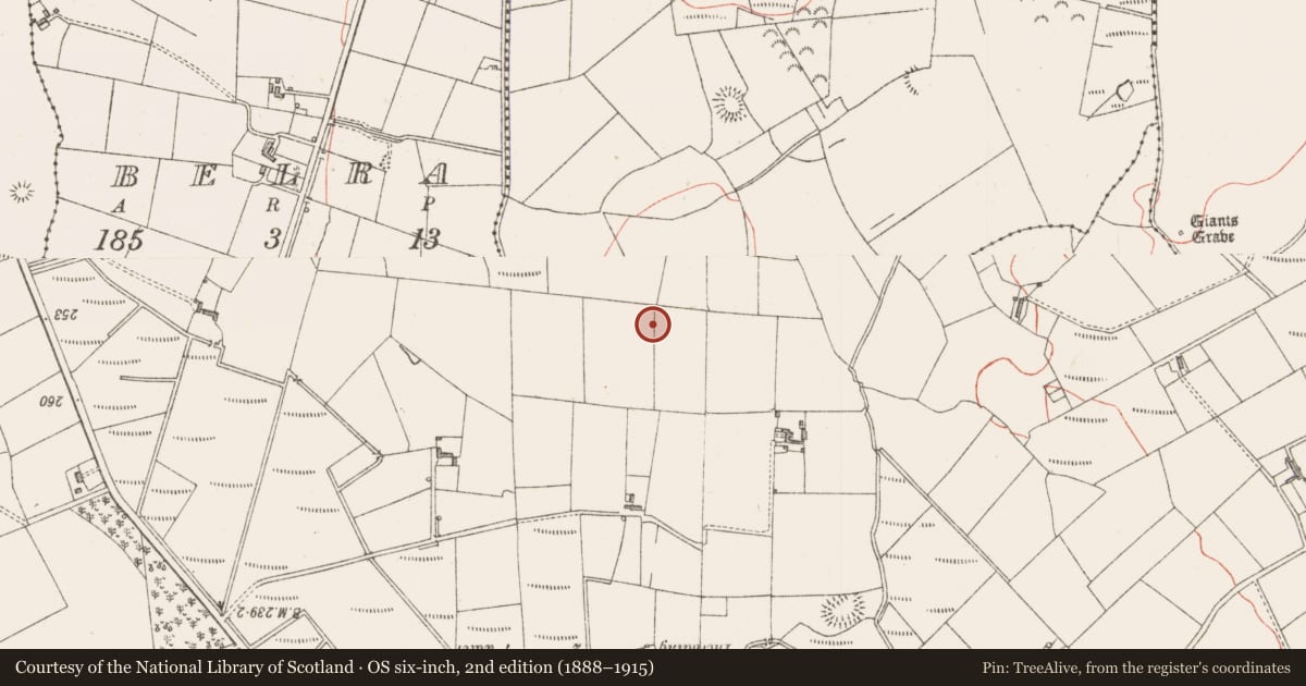 Ordnance Survey six-inch map, 2nd edition (1888–1915) covering the location of Barrow - bowl-barrow, Carrowloughan East, County Sligo, with a pin at the register's coordinates