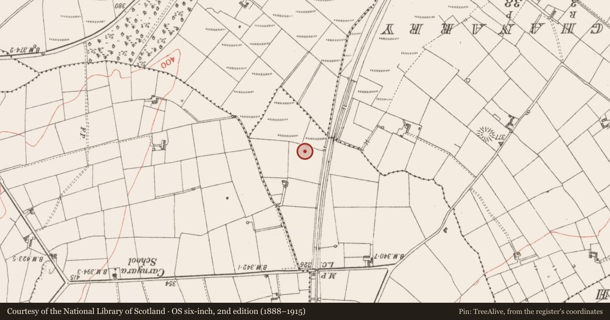 Ordnance Survey six-inch map, 2nd edition (1888–1915) covering the location of Souterrain, Rinbaun, County Sligo, with a pin at the register's coordinates