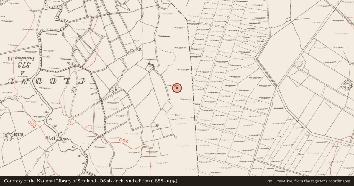 Ordnance Survey six-inch map, 2nd edition (1888–1915) covering the location of Megalithic tomb - court tomb, Cloonaraher, County Sligo, with a pin at the register's coordinates