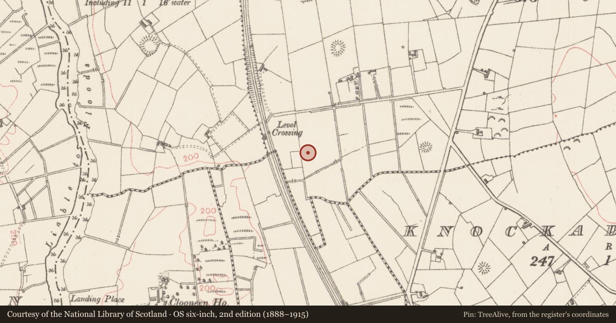 Ordnance Survey six-inch map, 2nd edition (1888–1915) covering the location of Enclosure, Carrowcushcly, County Sligo, with a pin at the register's coordinates