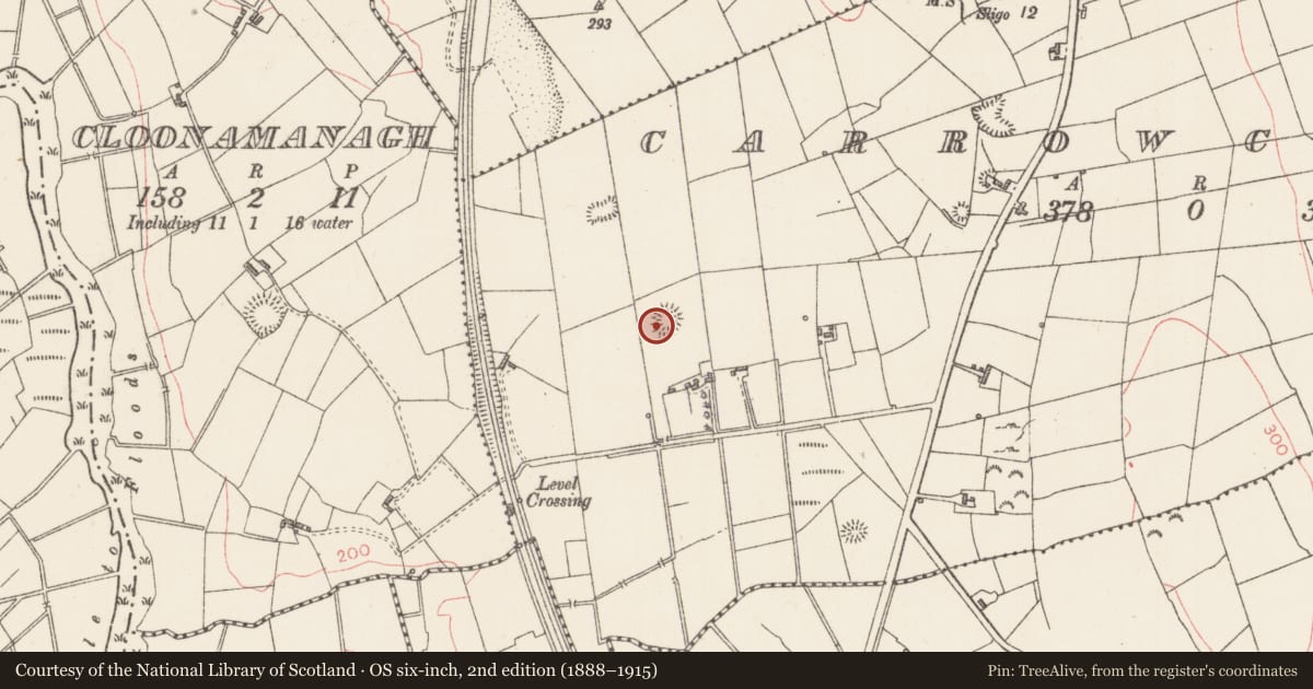 Ordnance Survey six-inch map, 2nd edition (1888–1915) covering the location of Ringfort - rath, Carrowcushcly, County Sligo, with a pin at the register's coordinates