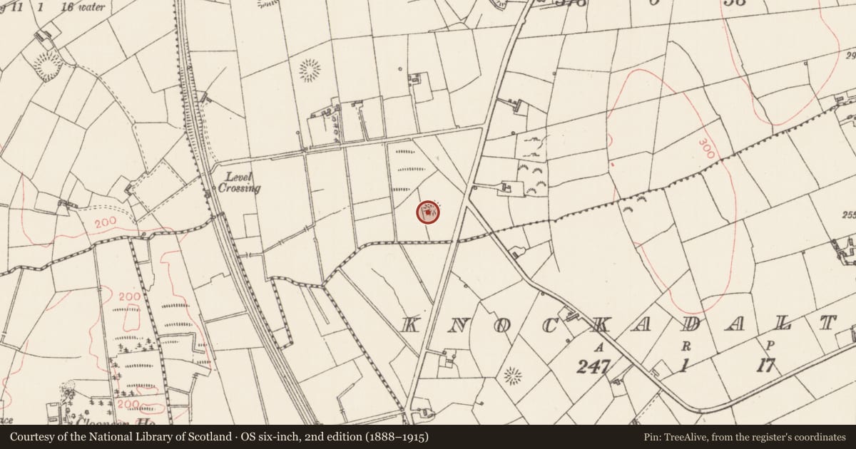 Ordnance Survey six-inch map, 2nd edition (1888–1915) covering the location of Ringfort - rath, Carrowcushcly, County Sligo, with a pin at the register's coordinates