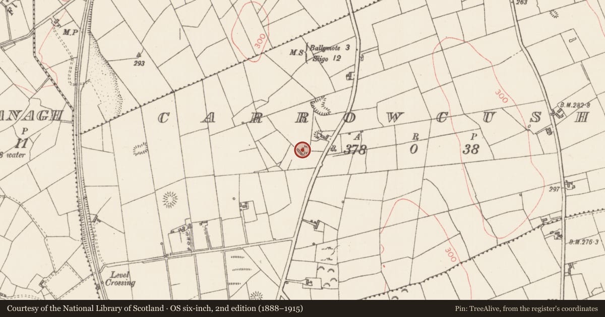 Ordnance Survey six-inch map, 2nd edition (1888–1915) covering the location of Enclosure, Carrowcushcly, County Sligo, with a pin at the register's coordinates