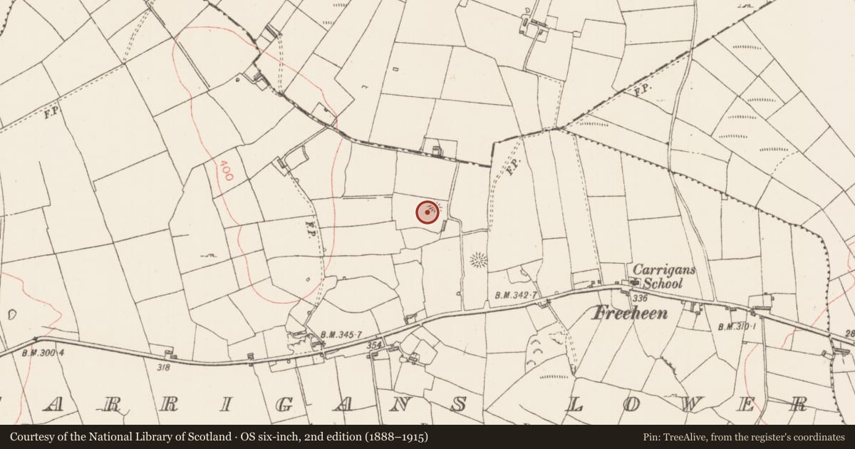 Ordnance Survey six-inch map, 2nd edition (1888–1915) covering the location of Hut site, Carrigans Lower, County Sligo, with a pin at the register's coordinates