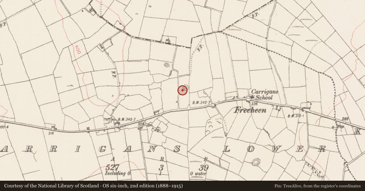 Ordnance Survey six-inch map, 2nd edition (1888–1915) covering the location of Ringfort - rath, Carrigans Lower, County Sligo, with a pin at the register's coordinates