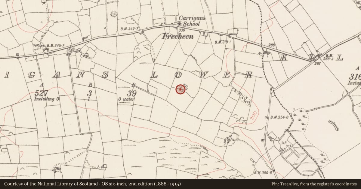 Ordnance Survey six-inch map, 2nd edition (1888–1915) covering the location of Ringfort - rath, Carrigans Lower, County Sligo, with a pin at the register's coordinates