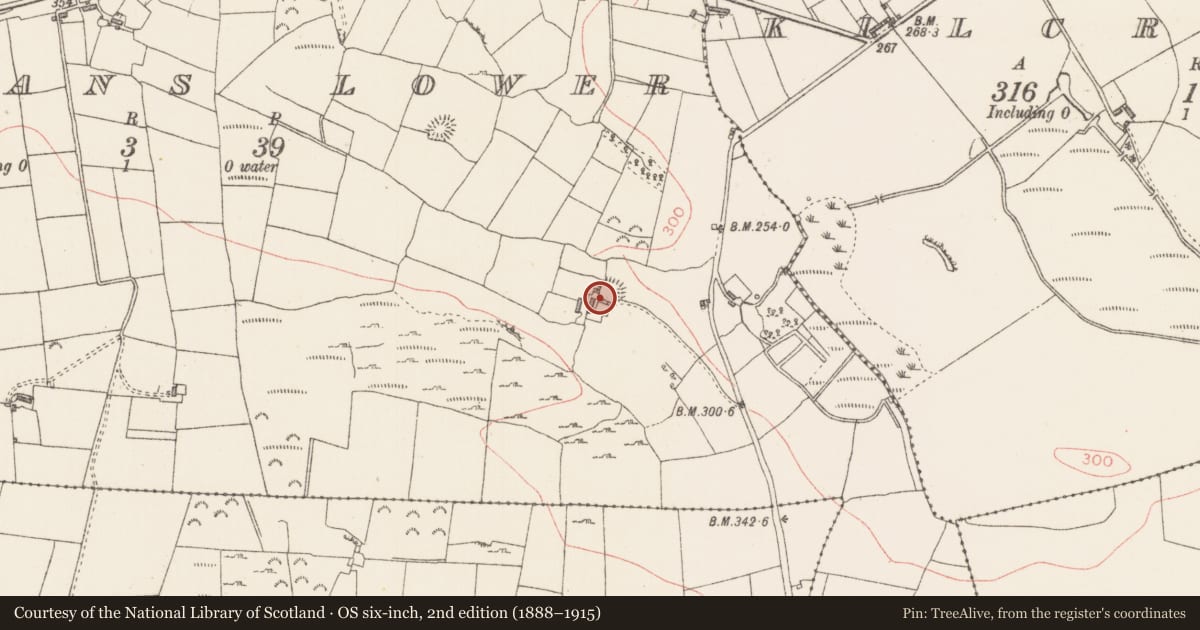 Ordnance Survey six-inch map, 2nd edition (1888–1915) covering the location of Ringfort - rath, Carrigans Lower, County Sligo, with a pin at the register's coordinates