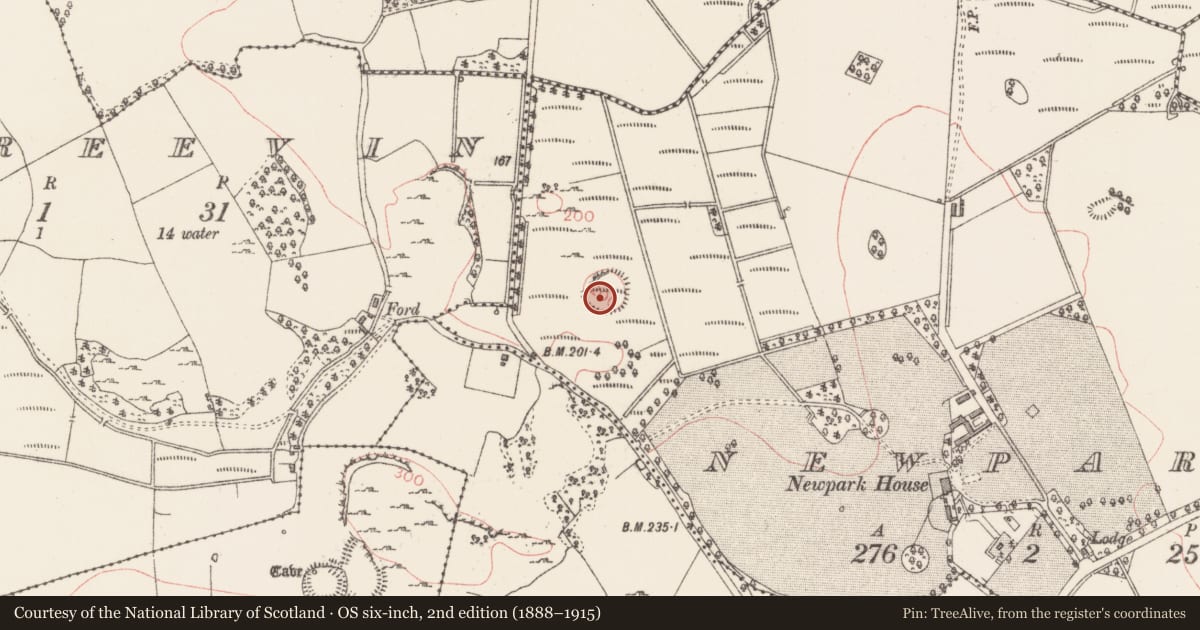 Ordnance Survey six-inch map, 2nd edition (1888–1915) covering the location of Cliff-edge fort, Newpark, County Sligo, with a pin at the register's coordinates