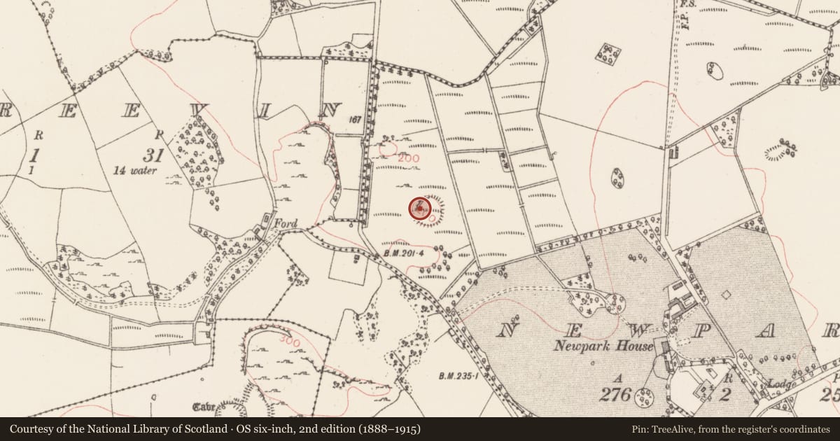 Ordnance Survey six-inch map, 2nd edition (1888–1915) covering the location of Souterrain, Newpark, County Sligo, with a pin at the register's coordinates