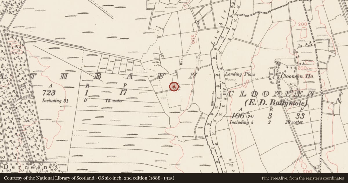 Ordnance Survey six-inch map, 2nd edition (1888–1915) covering the location of Ringfort - rath, Rathbaun, County Sligo, with a pin at the register's coordinates