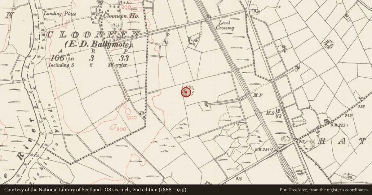 Ordnance Survey six-inch map, 2nd edition (1888–1915) covering the location of Ringfort - rath, Cluid, County Sligo, with a pin at the register's coordinates