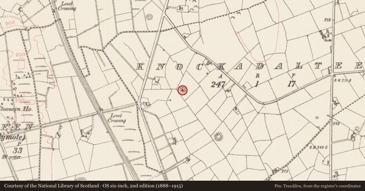 Ordnance Survey six-inch map, 2nd edition (1888–1915) covering the location of Ringfort - rath, Knockadalteen, County Sligo, with a pin at the register's coordinates