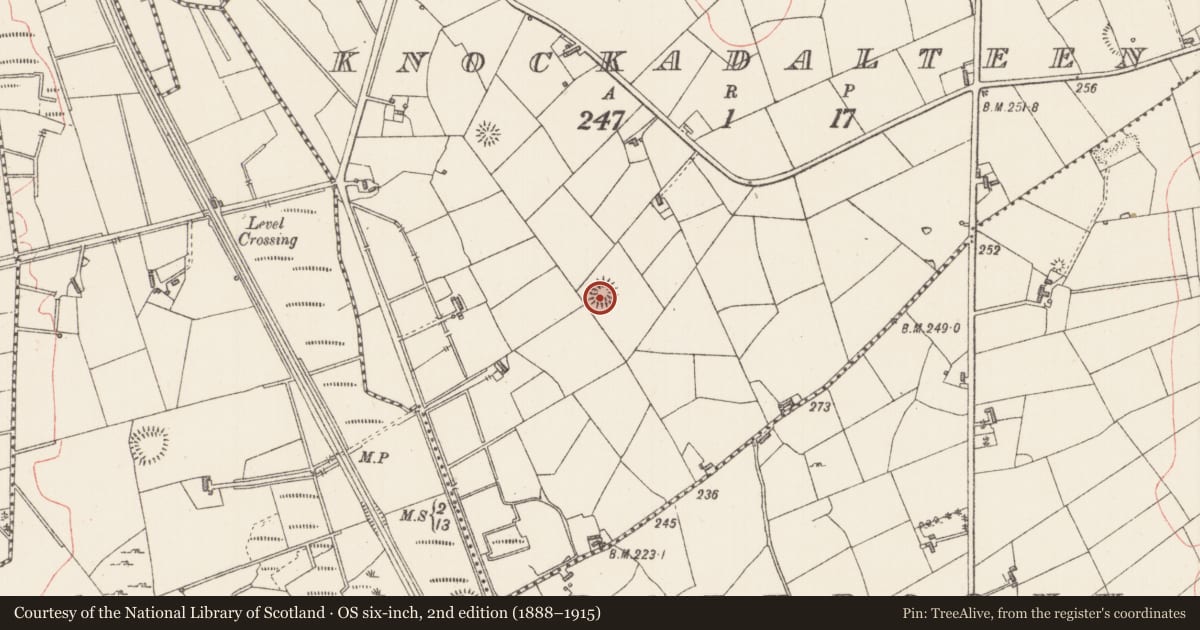 Ordnance Survey six-inch map, 2nd edition (1888–1915) covering the location of Ringfort - rath, Knockadalteen, County Sligo, with a pin at the register's coordinates