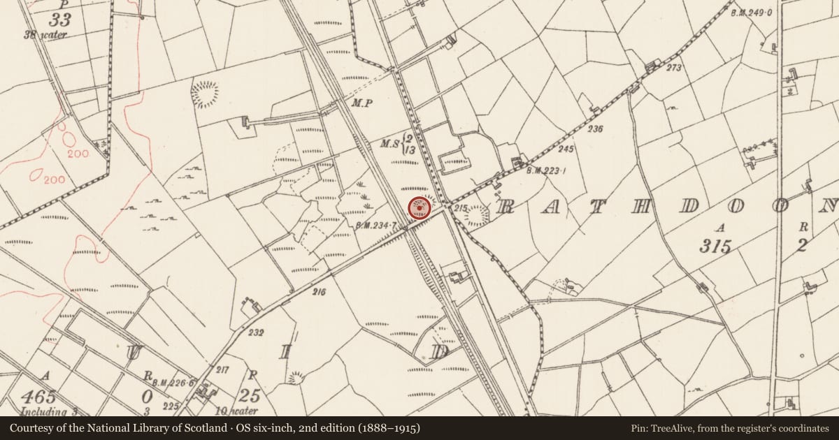 Ordnance Survey six-inch map, 2nd edition (1888–1915) covering the location of Ringfort - rath, Cluid, County Sligo, with a pin at the register's coordinates