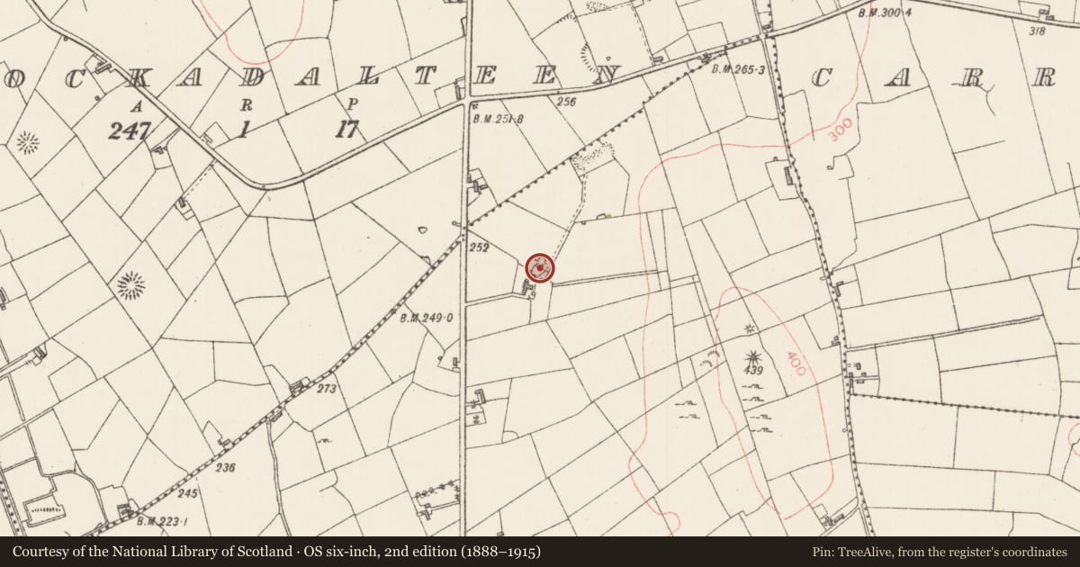 Ordnance Survey six-inch map, 2nd edition (1888–1915) covering the location of Enclosure, Rathdoony Beg, County Sligo, with a pin at the register's coordinates