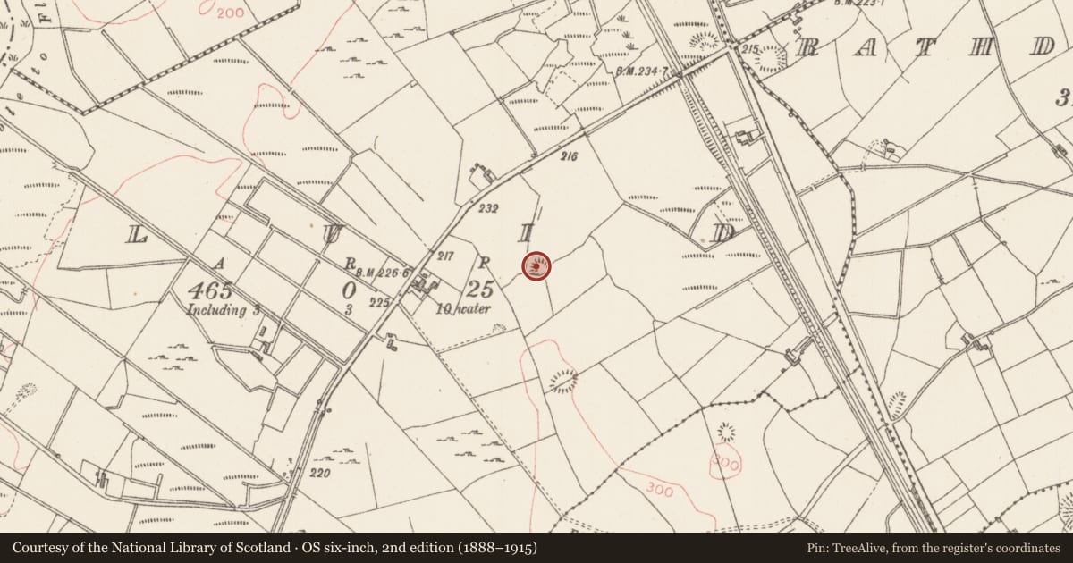 Ordnance Survey six-inch map, 2nd edition (1888–1915) covering the location of Ringfort - rath, Cluid, County Sligo, with a pin at the register's coordinates