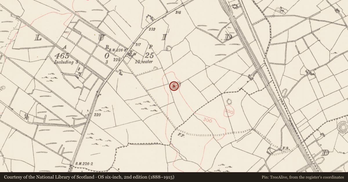 Ordnance Survey six-inch map, 2nd edition (1888–1915) covering the location of Ringfort - rath, Cluid, County Sligo, with a pin at the register's coordinates