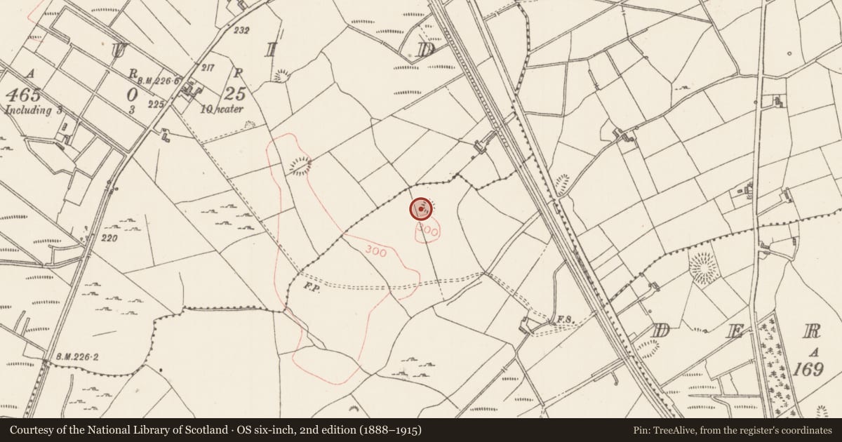 Ordnance Survey six-inch map, 2nd edition (1888–1915) covering the location of Ringfort - cashel, Rathdoony More, County Sligo, with a pin at the register's coordinates