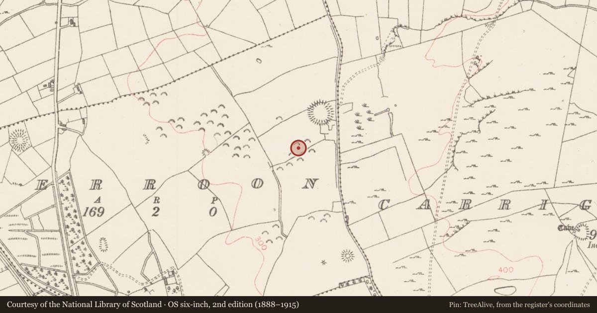 Ordnance Survey six-inch map, 2nd edition (1888–1915) covering the location of Barrow - ring-barrow, Derroon, County Sligo, with a pin at the register's coordinates