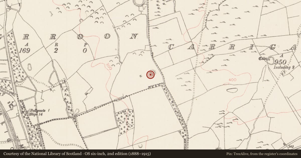 Ordnance Survey six-inch map, 2nd edition (1888–1915) covering the location of Barrow - ring-barrow, Derroon, County Sligo, with a pin at the register's coordinates