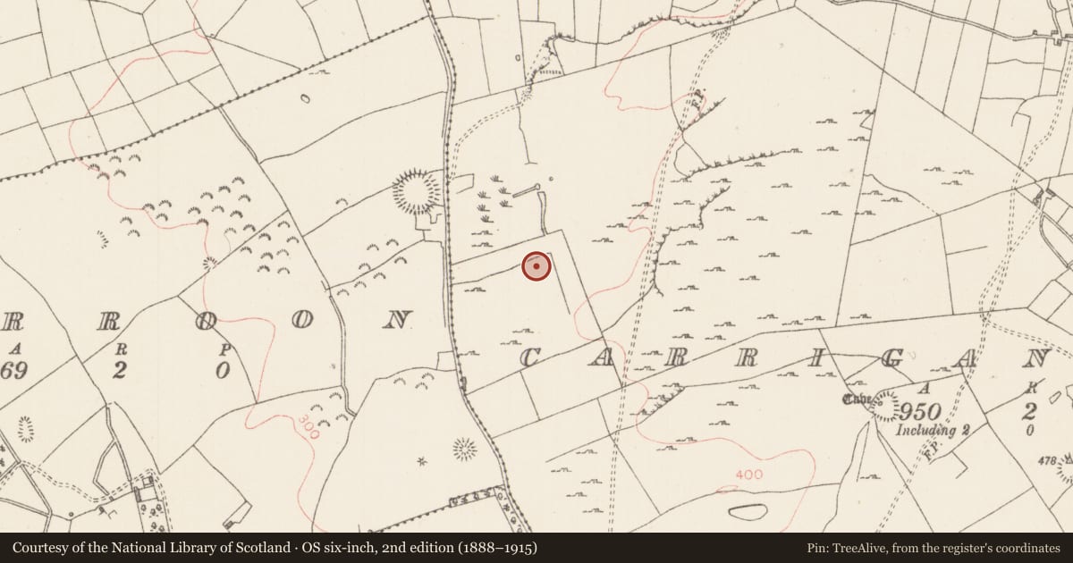 Ordnance Survey six-inch map, 2nd edition (1888–1915) covering the location of Moated site, Carrigans Upper, County Sligo, with a pin at the register's coordinates