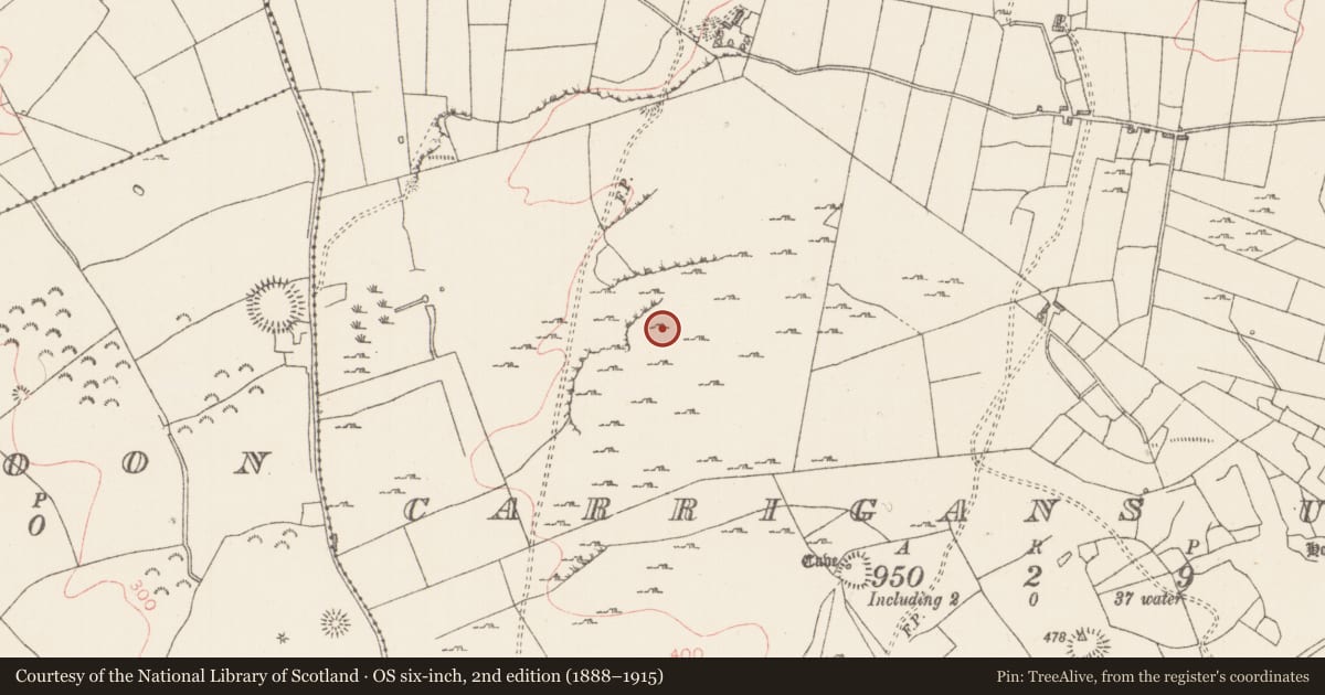 Ordnance Survey six-inch map, 2nd edition (1888–1915) covering the location of Hut site, Carrigans Upper, County Sligo, with a pin at the register's coordinates