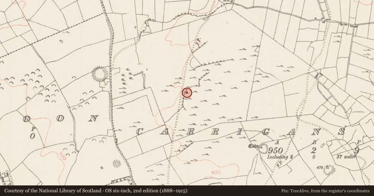 Ordnance Survey six-inch map, 2nd edition (1888–1915) covering the location of Cliff-edge fort, Carrigans Upper, County Sligo, with a pin at the register's coordinates