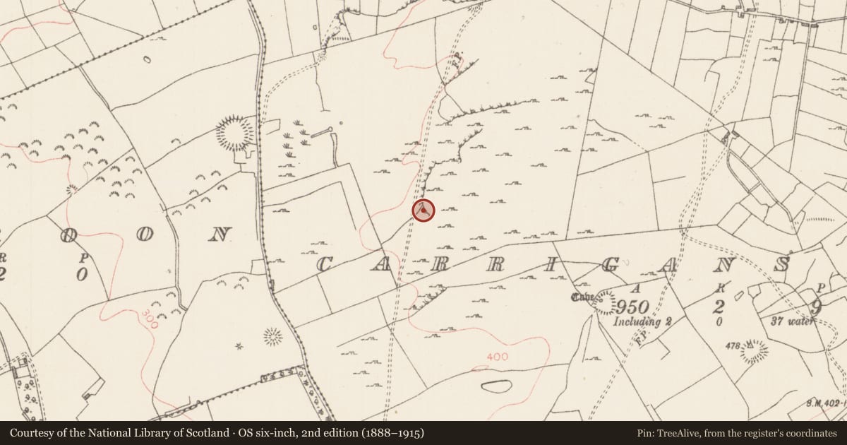 Ordnance Survey six-inch map, 2nd edition (1888–1915) covering the location of Enclosure, Carrigans Upper, County Sligo, with a pin at the register's coordinates