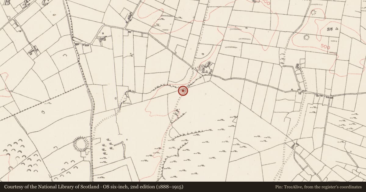 Ordnance Survey six-inch map, 2nd edition (1888–1915) covering the location of Cliff-edge fort, Carrigans Upper, County Sligo, with a pin at the register's coordinates