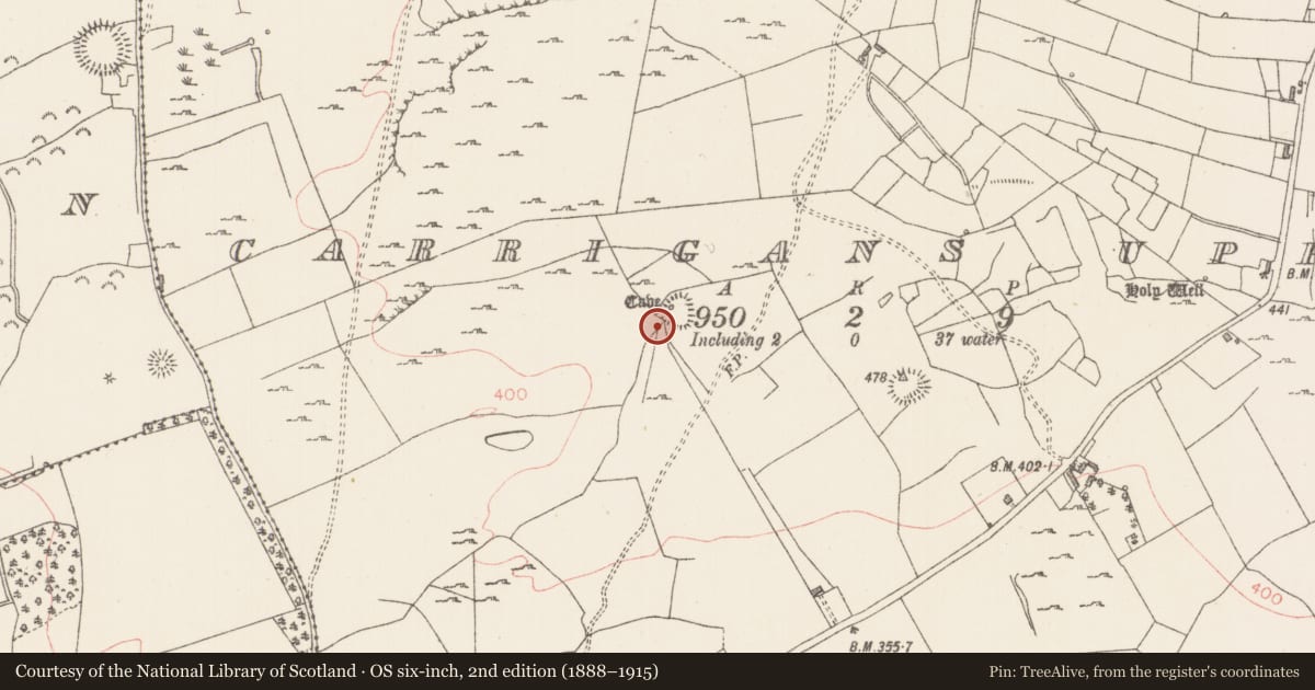 Ordnance Survey six-inch map, 2nd edition (1888–1915) covering the location of Souterrain, Carrigans Upper, County Sligo, with a pin at the register's coordinates