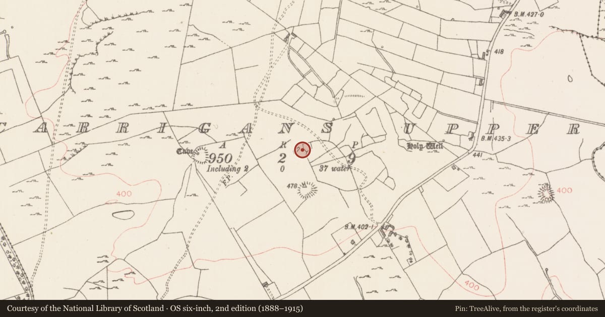 Ordnance Survey six-inch map, 2nd edition (1888–1915) covering the location of Field system, Carrigans Upper, County Sligo, with a pin at the register's coordinates