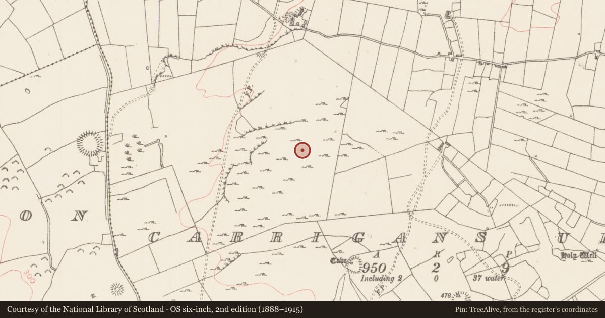 Ordnance Survey six-inch map, 2nd edition (1888–1915) covering the location of Field system, Carrigans Upper, County Sligo, with a pin at the register's coordinates