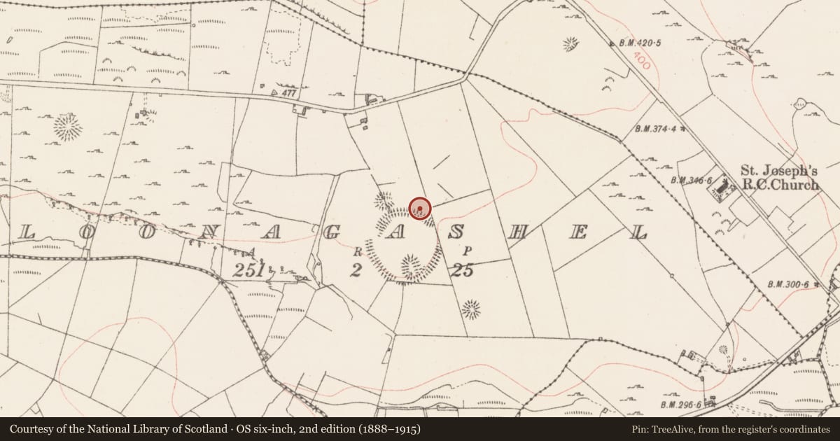 Ordnance Survey six-inch map, 2nd edition (1888–1915) covering the location of Field system, Cloonagashel, County Sligo, with a pin at the register's coordinates