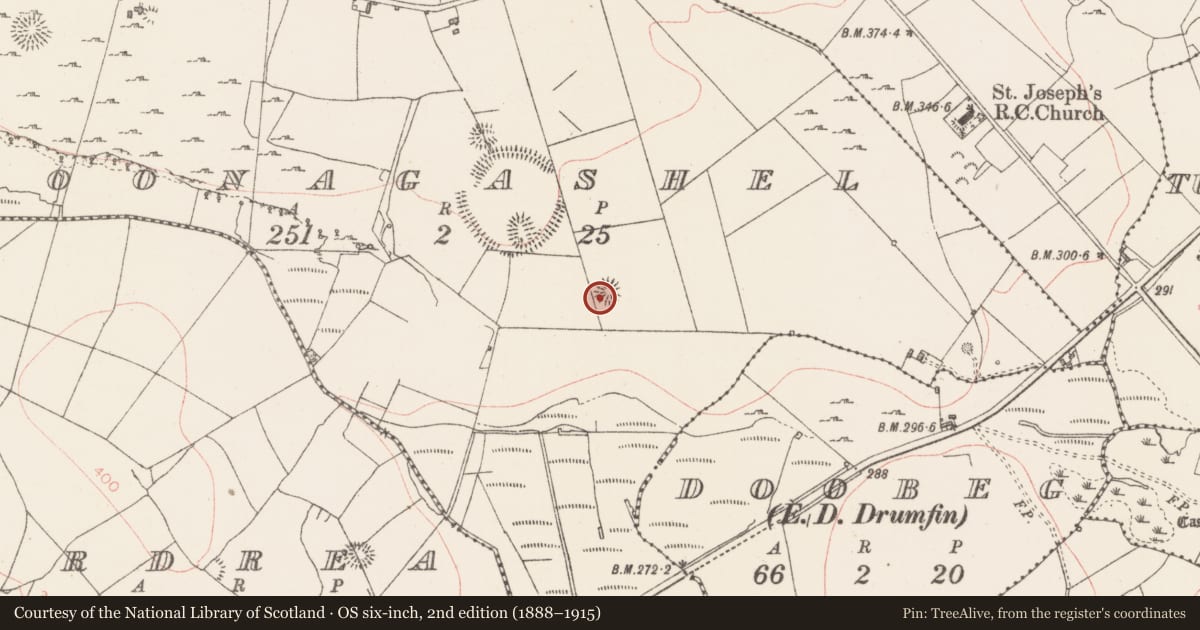 Ordnance Survey six-inch map, 2nd edition (1888–1915) covering the location of Ringfort - rath, Cloonagashel, County Sligo, with a pin at the register's coordinates