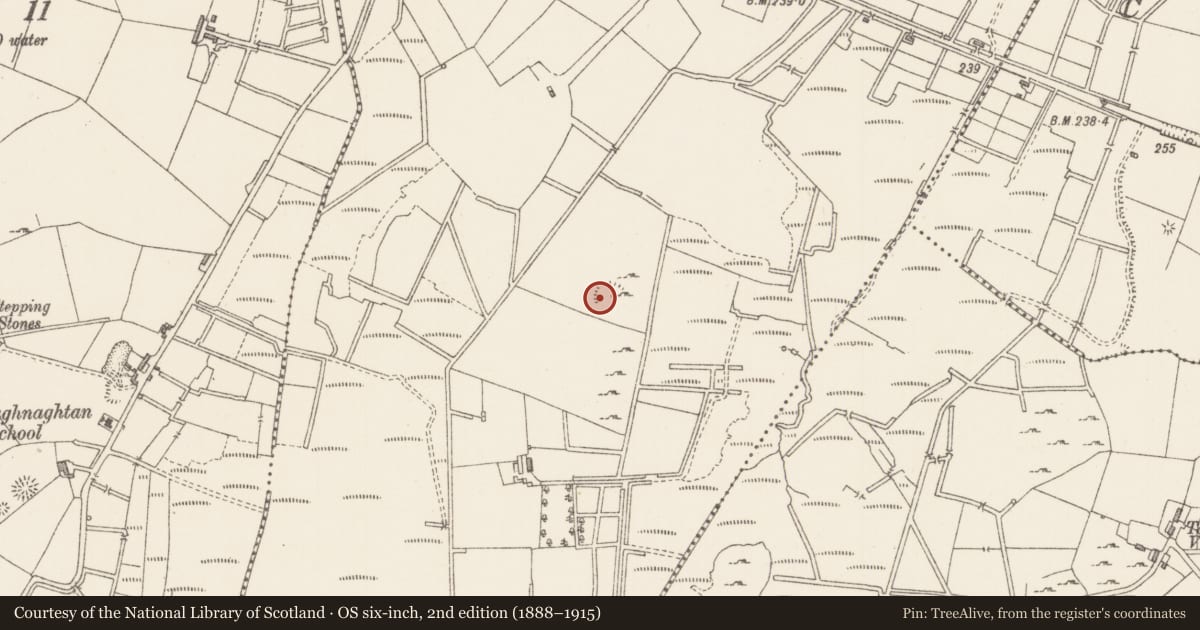 Ordnance Survey six-inch map, 2nd edition (1888–1915) covering the location of Enclosure, Rathdoony More, County Sligo, with a pin at the register's coordinates