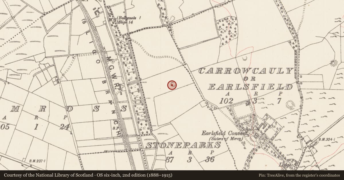 Ordnance Survey six-inch map, 2nd edition (1888–1915) covering the location of Ringfort - rath, Stoneparks, County Sligo, with a pin at the register's coordinates