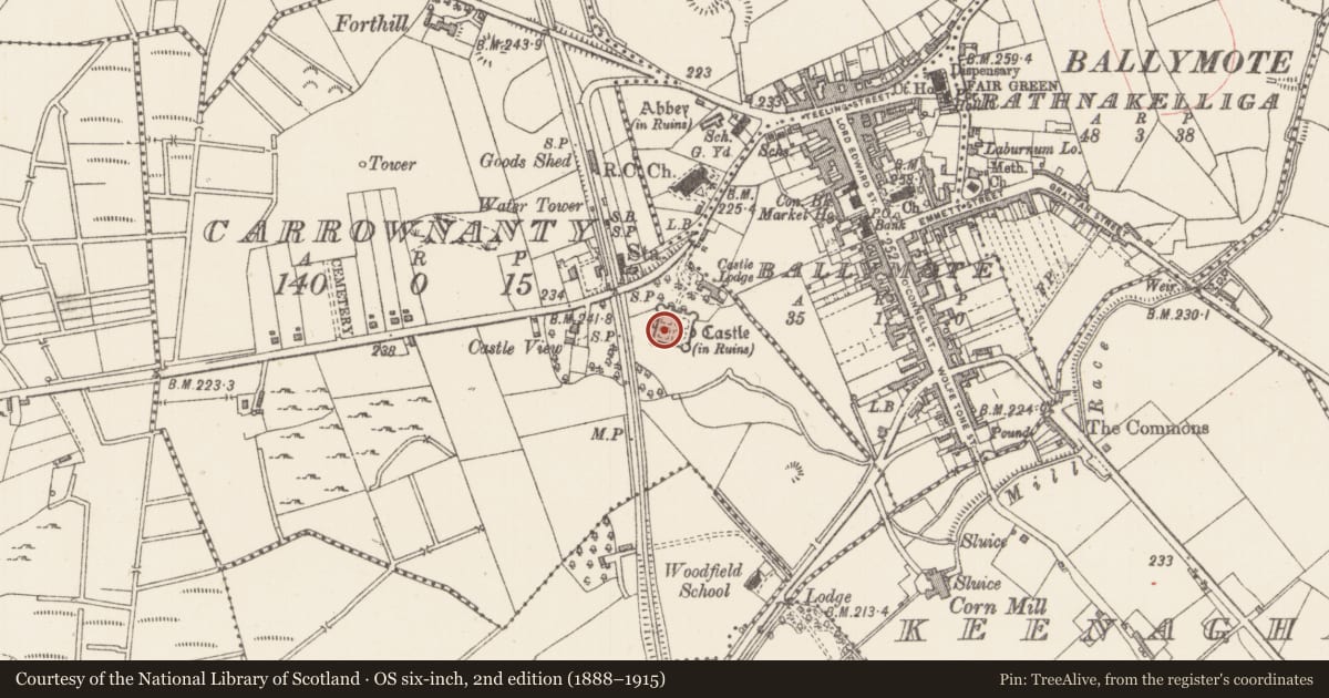 Ordnance Survey six-inch map, 2nd edition (1888–1915) covering the location of Castle - Anglo-Norman masonry castle, Carrownanty, County Sligo, with a pin at the register's coordinates