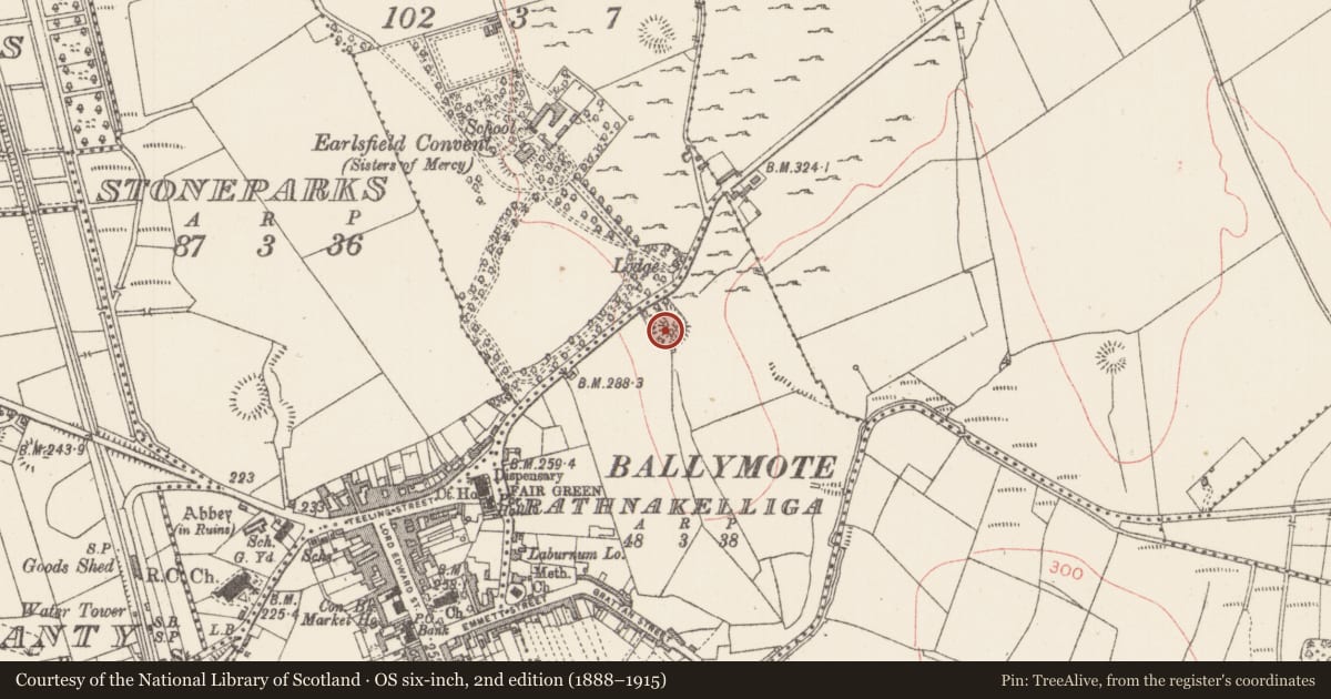 Ordnance Survey six-inch map, 2nd edition (1888–1915) covering the location of Ringfort - rath, Rathnakelliga, County Sligo, with a pin at the register's coordinates