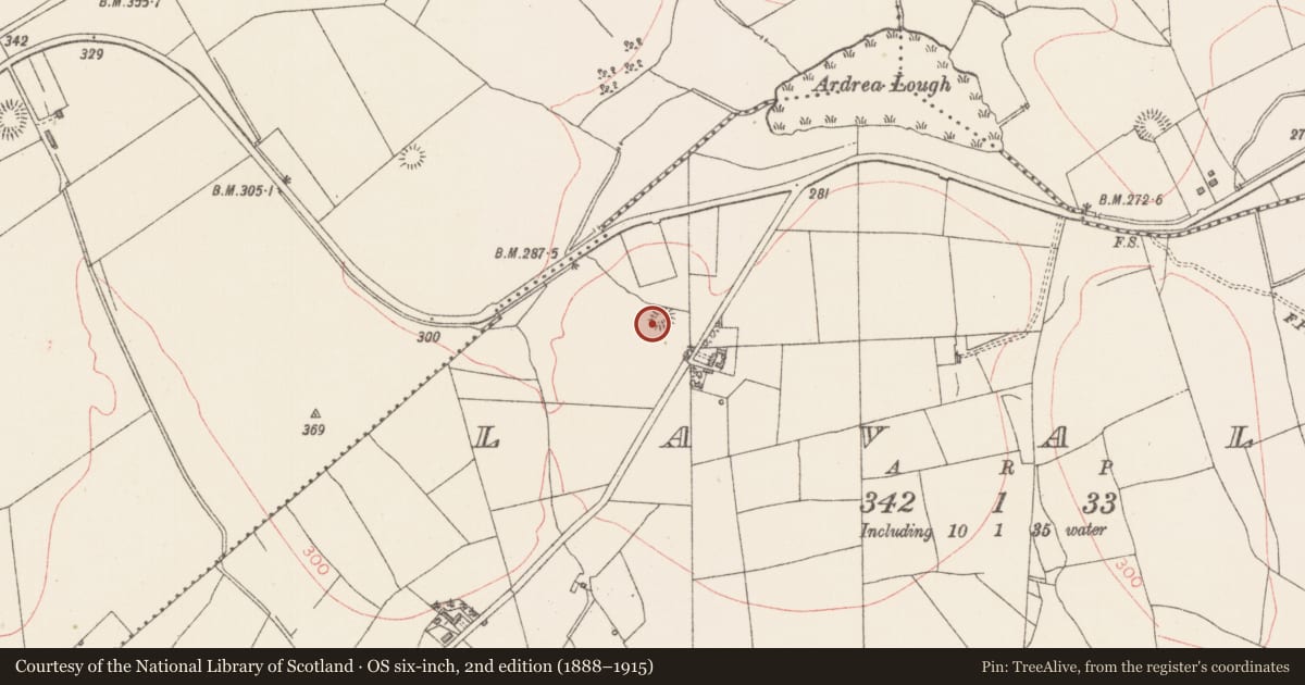 Ordnance Survey six-inch map, 2nd edition (1888–1915) covering the location of Ringfort - rath, Lavally, County Sligo, with a pin at the register's coordinates