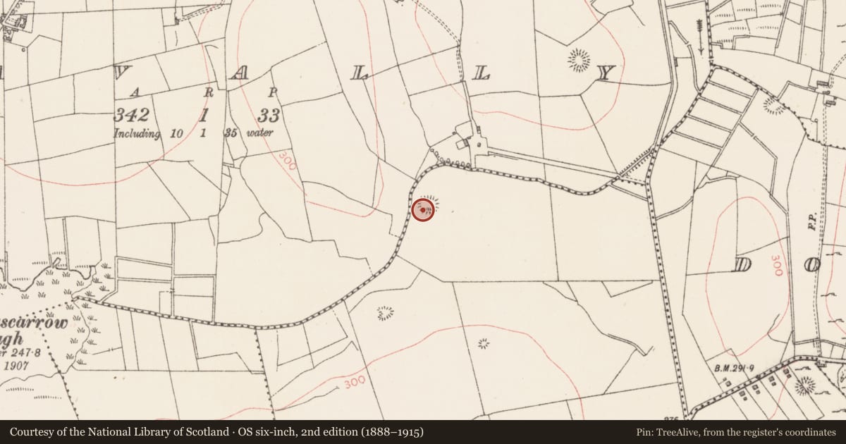 Ordnance Survey six-inch map, 2nd edition (1888–1915) covering the location of Ringfort - rath, Roscrib East, County Sligo, with a pin at the register's coordinates