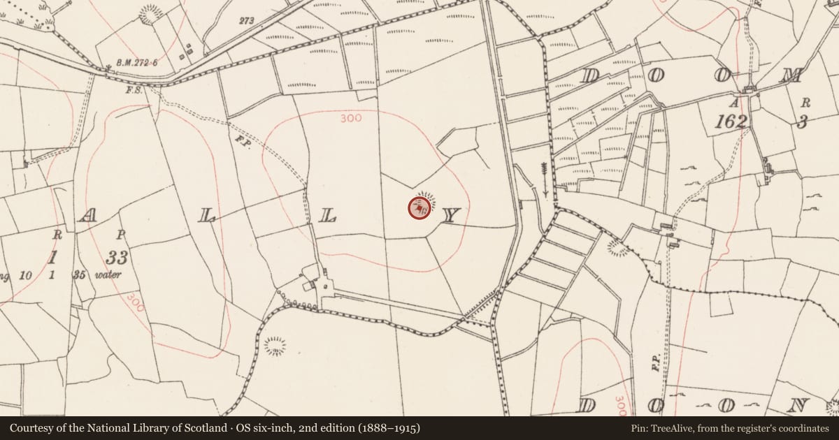 Ordnance Survey six-inch map, 2nd edition (1888–1915) covering the location of Ringfort - rath, Lavally, County Sligo, with a pin at the register's coordinates